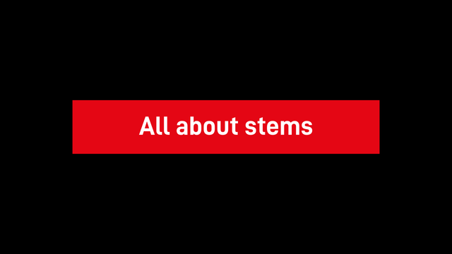 200 MK2 - All about Stems